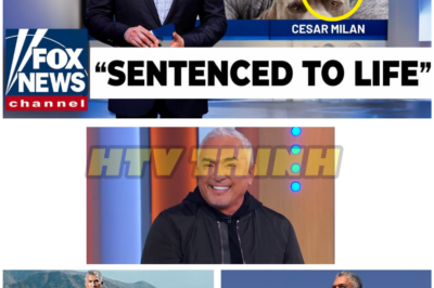 Cesar Milan From Dog Whisperer Sentenced To Life Imprisonment