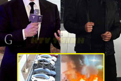 Elon Musk Cries ‘Terrorism’ After Las Vegas Tesla Car Fires
