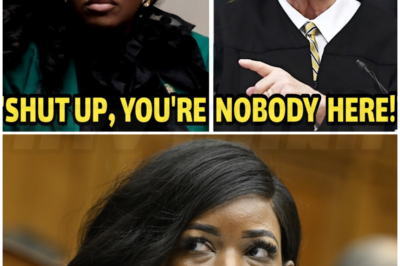 ♌ – Jasmine Crockett in Court