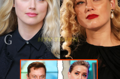 Why Everyone Hates Amber Heard