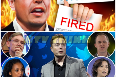 Elon Musk Just FIRED The Twitter Board! – HTT