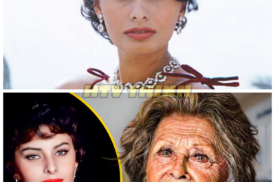 Remember Sophia Loren? Here’s What She Looks Like Now…