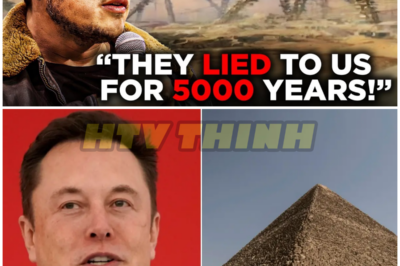 Elon Musk Reveals Terrifying Truth About The Pyramids – HTT