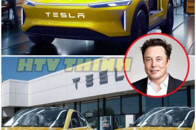Elon Musk Drops Bombshell: Tesla’s $2,579 Model Q Could Revolutionize the Electric Car Market with Game-Changing Tech