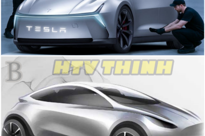 Tesla’s Most Affordable Car Yet? Model 2 Unveiled with Shocking Features and a Price Under $25,000