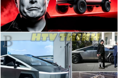 Elon Musk Stunned as Tesla Halts Cybertruck Production—What Went Wrong Behind the Scenes?