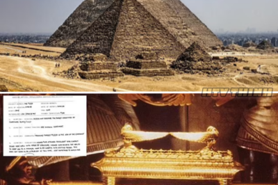 CIA Document Unveils Shocking Revelation: The Sacred Ark of the Covenant Chest Has Been Found
