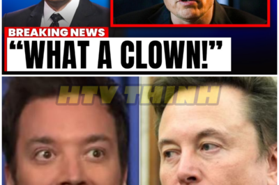 Jimmy Fallon Just HUMILIATED Elon Musk & Elon Gets MAD! – HTT