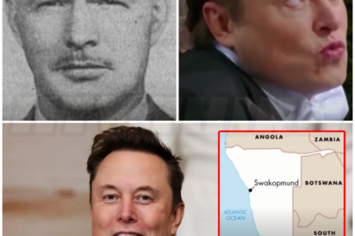 ♌ – Elon Musk’s Family History in SA