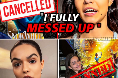 Rachel Zegler: From Hollywood’s Rising Star to Box Office Disappointment – What Went Wrong?