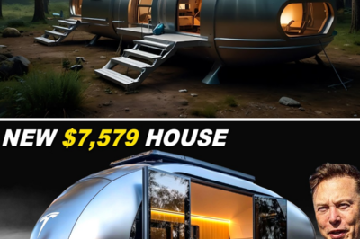 $7,579 Tesla Tiny House FINALLY HIT The Market! INSANE First Look