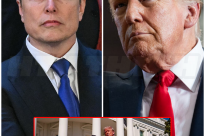 ♌ – Elon Musk would be leaving government
