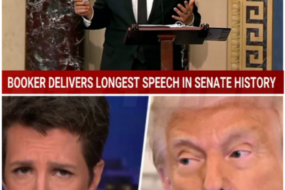 ♌ – Cory Booker joins Rachel Maddow