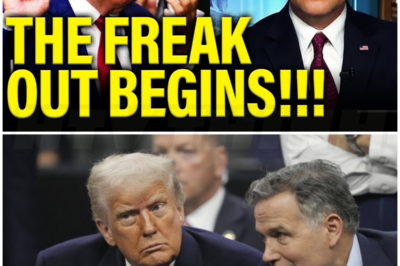 ♌ – Republicans FREAK OUT