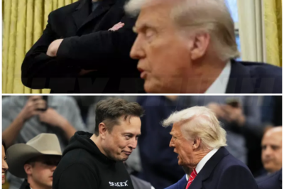 ♌ – Trump KICKS ELON