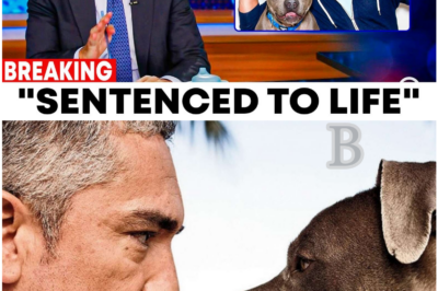 They Called Him the Dog Whisperer – But What Cesar Millan Was Hiding All Along Will Leave You Shocked