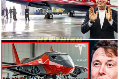 The Sky’s New Frontier: Elon Musk’s $13 Billion Dream