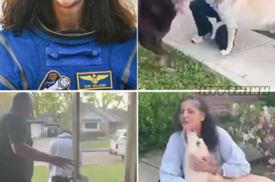 Astronaut’s Incredible 9-Month Space Mission Ends with Heartwarming Reunion with Her Dogs