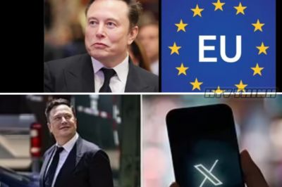 Is This the Beginning of the End for Elon Musk’s Reign Over Free Speech in Europe?
