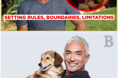 Is Your Puppy Biting? Here’s How to Tame Your Puppy’s Nipping and Restore Harmony