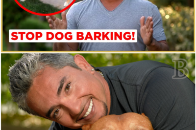 Tired of Your Dog Barking? Cesar Millan Reveals the Secrets to Curbing the Noise
