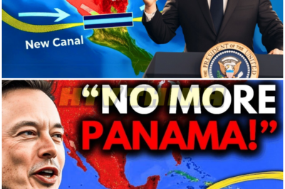 Elon Musk: “I’ll Show You Nicaragua’s $50BN Panama Canal Rival” – HTT