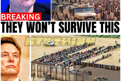 Elon Musk: “I’ll Show You What’s Really Happening At The US Border!” – HTT
