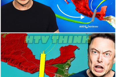 Elon Musk: “This Will KILL the Panama Canal!” – HTT
