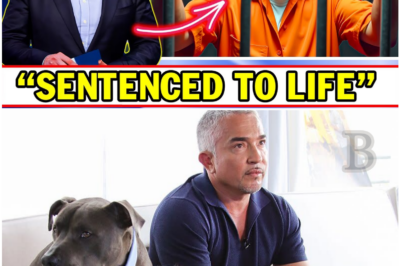He Was the World’s Most Trusted Dog Trainer—Now He’ll Spend the Rest of His Life Behind Bars and the Reason Will Leave You Speechless