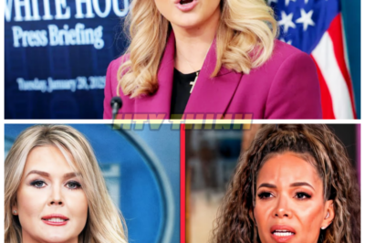 The View Openly PLEADS With Karoline Leavitt To STOP $800 MILLION Law Suit for Good!