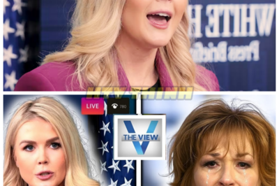Finally! Joy Behar’s Exit from The View Sparks Outrage—Did Karoline Leavitt’s Lawsuit Force Her Out?