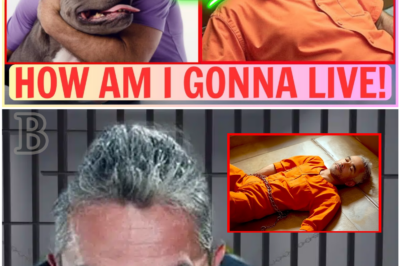 Cesar Millan Faces Major Legal Setback: The Shocking Moment He Fell in Court After the Sentencing