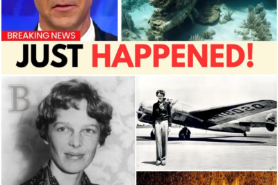 After 87 Years, Amelia Earhart’s Lost Plane Finally Discovered: What the Wreckage Reveals About Her Fateful Flight