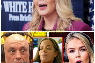 Sunny Hostin Hospitalized After Joe Rogan and Karoline Leavitt File $800M Lawsuit.