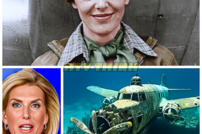 Amelia Earhart’s Plane Suddenly Reappeared After 87 Years Of Going Missing!