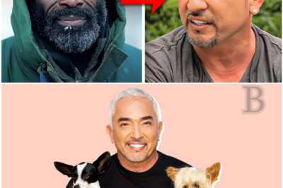 Cesar Millan Transforms a Homeless Man’s Life in One Unforgettable Moment – Find Out How!
