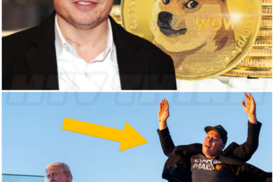 ♌ – Elon Musk DOGE