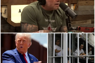 ♌ – Joe Rogan blasts Trump