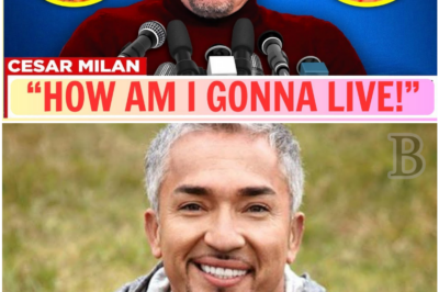 The Dog Whisperer’s Darkest Moment: Cesar Millan Reveals Shocking Struggles Behind the Scenes of His Fame