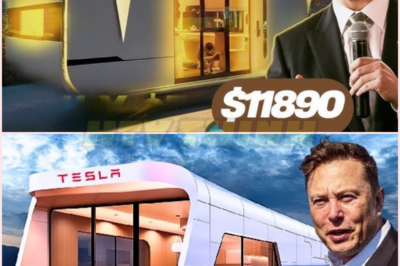Elon Musk Has Introduced The $10,000 Tesla House, An Affordable, Energy-efficient Home Equipped With Tesla’s Solar Panels And Powerwall Technology