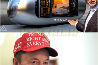 $7,579 Tesla Tiny House FINALLY HIT The Market! INSANE First Look