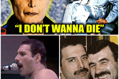 💔 Tragic Details About Freddie Mercury Revealed – UNSEEN Footage That Will Break Your Heart! 🎤😢