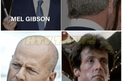 🔥😱 Sylvester Stallone Finally CONFIRMS What We’ve All Been Suspecting for Years – Prepare to Be Shocked! 😲🎬