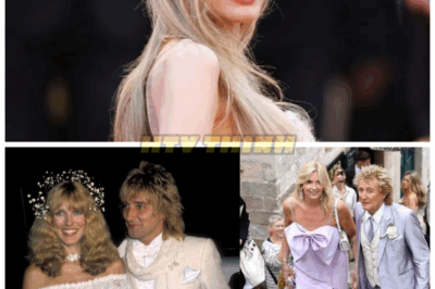 50 Stars Who’ve Been Married Many Times