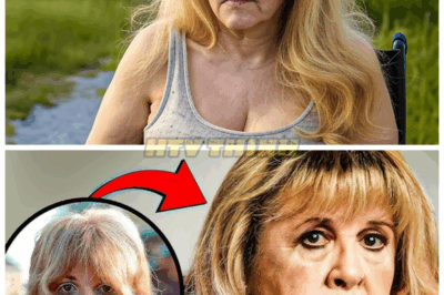 Stevie Nicks Is Now About 76, How She Lives Is Sad