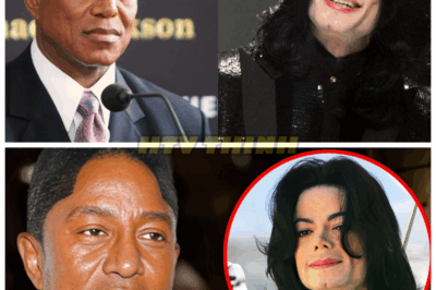 Jermaine Jackson JUST Breaks Silence On Michael Jackson – What He Reveals is Shocking!