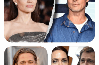 Brad Pitt Seeks Confidential Communication Amid Legal Clash with Angelina Jolie