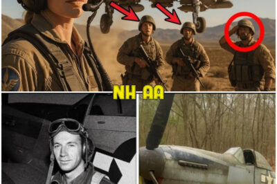Fighter Pilot Vanished in 1943 — 60 Years Later, His Rusted Plane Was Found in a Forest…