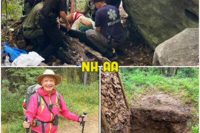 Elderly Hiker Vanished in Rockies, 2 Years Later Rangers Find a Booby Trap Deep in Forest…