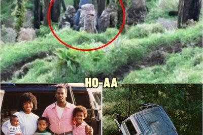 Black Family Vanished on Road Trip in 1982 — 20 Years Later This Is Found in the Forest…